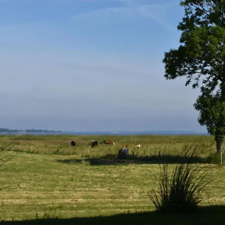 Ferienhaus Ferienhaus Mein Ostseeplätzchen Am Meer 9 Niesgrau